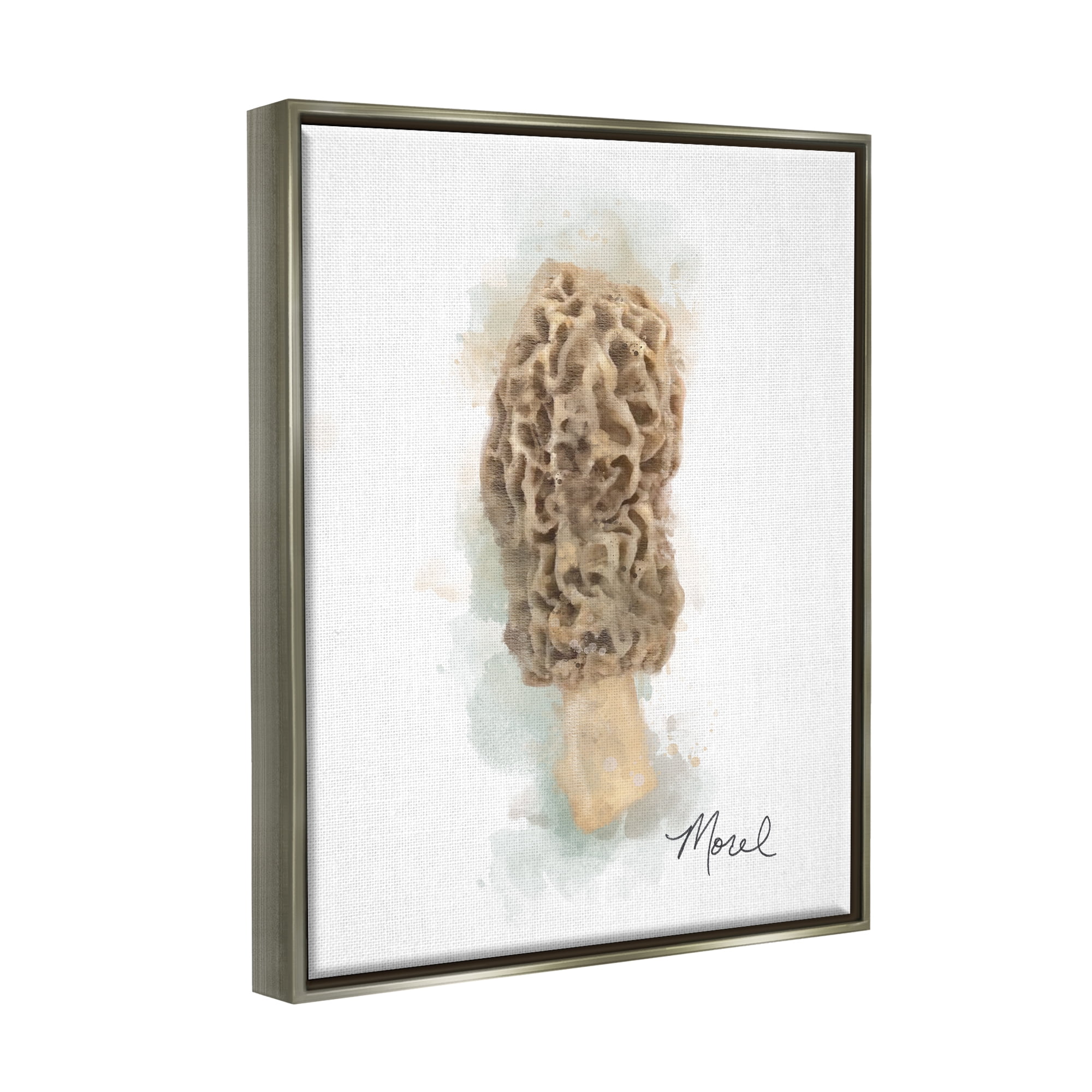 Stupell Industries Abstract Morel Mushroom Botanical & Floral Painting Gray Floater Framed Canvas Art Print Wall Art, 17 x 21