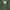 Military Green, variant on Camouflage Faux Three Piece Tuxedo Men Big & Tall Graphic Tee Brisco Brands 2X