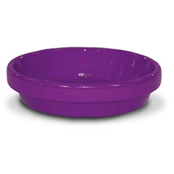 Ceramo 173799 7.75 x 1.75 in. Powder Coated Ceramic Saucer, Violet - Pack of 10