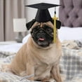 thumbnail image 4 of Pet Graduation Hat for Dogs and Cats - Doctor Cap Photo Prop Accessory for, 4 of 4