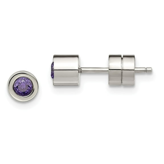 Stainless Steel CZ Feb Birthstone Polished Post Earrings