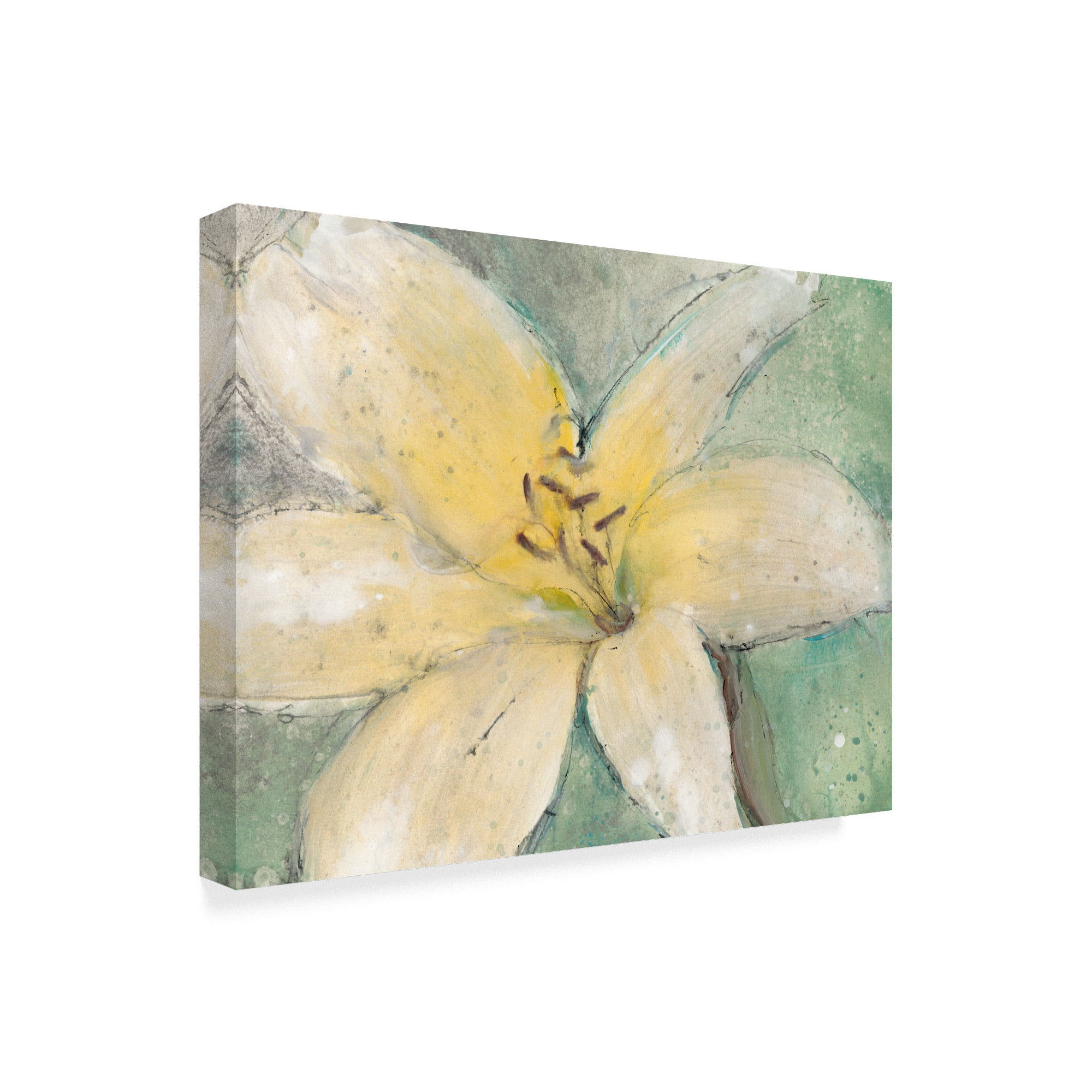 Trademark Fine Art 'Floral Spirit III' Canvas Art by Tim OToole