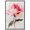 Black Frame, variant on Pink Haze Canvas Pastel Floral Art by Art Remedy, Black Frame, 36" x 54"