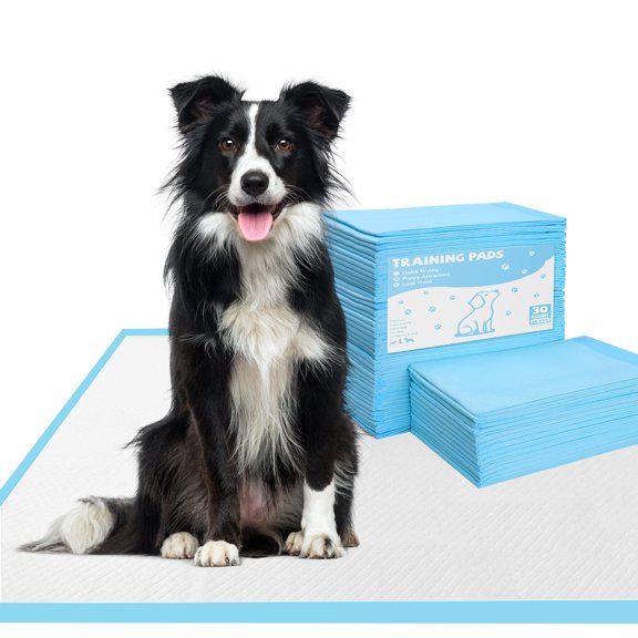 Atilioo Soft & Strong Training Pads with Leak-Proof Quick-Dry 6-Layer, 100 Count Disposable Dog Pet Pee Pads for Potty Training, 22 x 22 Inches
