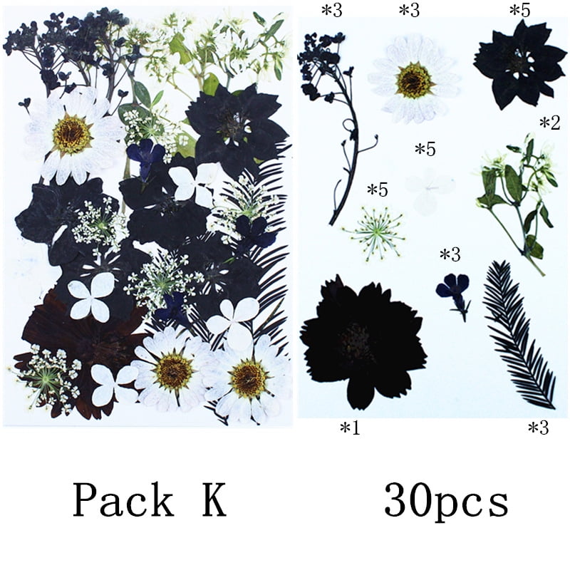 Dalrosia Black Dried Pressed Flowers for Resin Molds, Bulk Real Natural Dry Floral for DIY Art Crafts, Epoxy Jewelry, Candle, Nails Decor, Phone Case,Soap Making