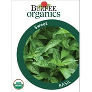 Burpee Organic Sweet Basil Herb Seed, 1-Pack