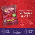 thumbnail image 2 of Funables Fruity Snacks Strawberry Fruit Snacks, 17.6 oz, 22 Count, 2 of 8