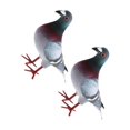 thumbnail image 3 of Maoww Modèle en Mousse Simulation Cadeaux de Fête Oiseau une Mousse Artificielle Pâques 2 Pcs Style Cadeaux 2 Pcs Style A, 3 of 6