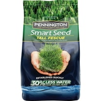 Pennington Smart Seed Tall Fescue Grass Seed, 7 lbs