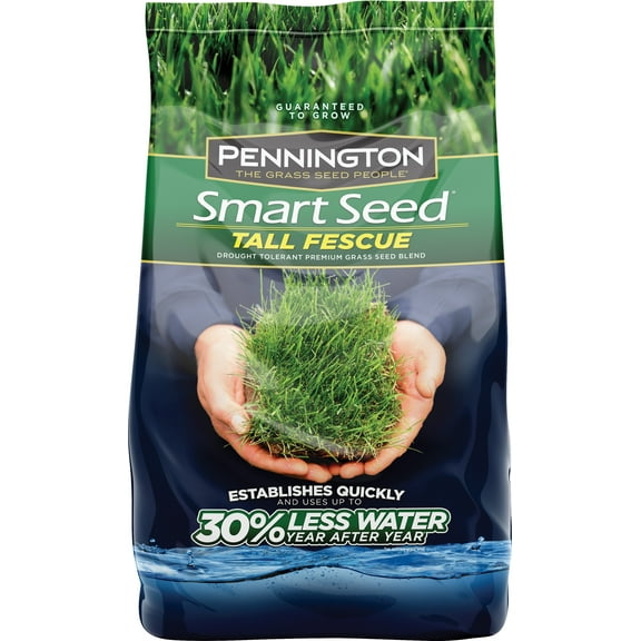 Pennington Smart Seed Tall Fescue Grass Seed, 7 lbs