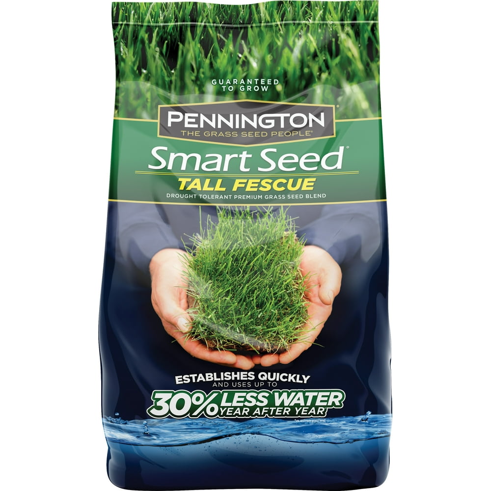 Pennington Smart Seed Tall Fescue Grass Seed, 7 lbs