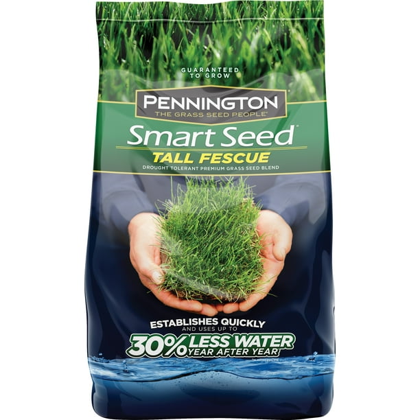 Pennington Smart Seed Tall Fescue Grass Seed, 7 lbs