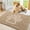 Beige, variant on Dog Door Mats for Muddy Rug, Microfiber Quick Dry Chenille Entryway Rug, Non-Slip Absorbent Chenille Indoor Doormats，Machine Washable Pet Rug
