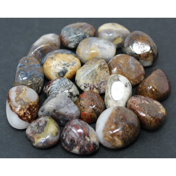 1/4 lb Bulk Lot Pietersite Tumbled Stone (Crystal Healing Gemstone) 4 oz