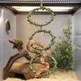 thumbnail image 5 of Reptile Climbing Decor, Snake Climbing Rings for Ball Python & Corn Snake, Reptile Toys, Enrichment Pet Toys & Tank Cage Decor, Habitat Accessories for Terrarium, 5 of 7