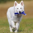 thumbnail image 2 of Baton Nerf Dog TPR beurre arachide 25cm, 2 of 4
