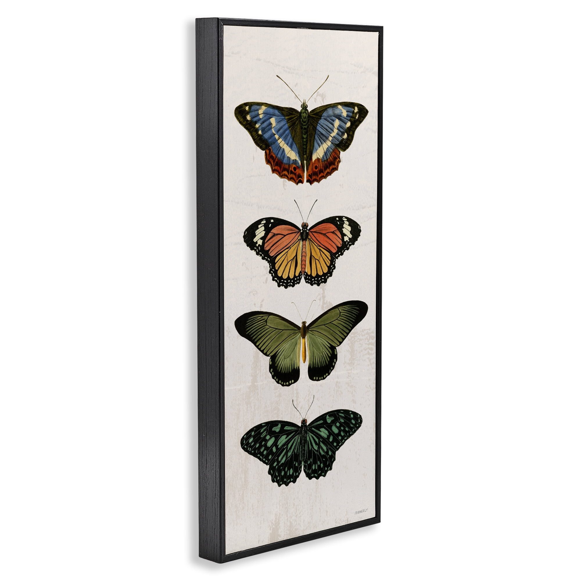 Stupell Industries Butterfly Lineup Vintage Black Framed Giclee Art, design by Dan Meneely