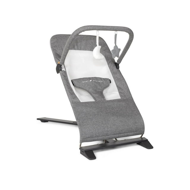 Baby Delight Alpine Deluxe Portable Bouncer, Charcoal Tweed