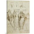 thumbnail image 1 of ARTCANVAS Studies of the Human Body - Muscles of the Shoulder, Arm and Neck Canvas Art Print by Leonardo da Vinci - Size: 12" x 8" (0.75" Deep), 1 of 9