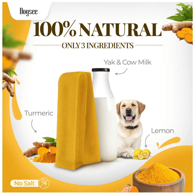 Dogsee Himalayan Yak Cheese Dog Chews with Turmeric/Curcumin (Medium - 6Chew) | Long Lasting | Anti-inflammatory | Fights Plaque and Tartar | Odorless Dog Treats