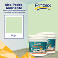 thumbnail image 2 of PINTEX Galon de Pintura para Pared Vinil-Acrílica | Fácil Aplicación, Alta Cobertura y Resistente a la Lluvia | Pintura Acrilica para Interiores Exteriores Mate | 3.8 L c/u | Color (HOJA), 2 of 8
