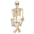 thumbnail image 3 of Seasons 5 FT Pose-N-Stay Life Size Skeleton with Realistic Posable and Movable Joints Halloween Decoration for Crazy Bonez Skeleton Line, 3 of 8