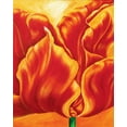 thumbnail image 2 of Frederiks, Beatrix 26x32 White Modern Wood Framed Museum Art Print Titled - Tripple of tulips II, 2 of 4