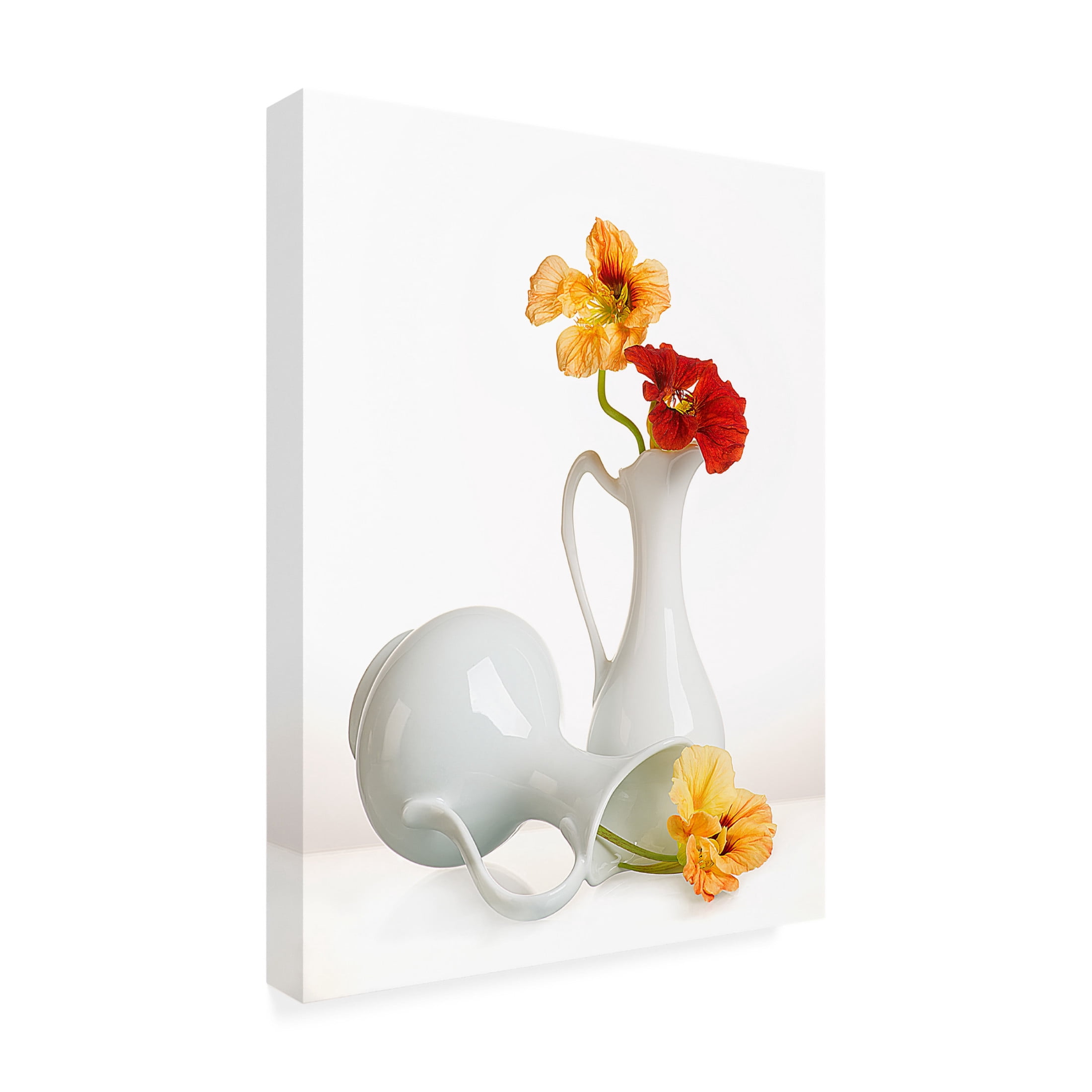 Canvas Wall Art - Aida Ianeva 'Delicate' Wall Art for Living Room, Bedroom, or Office Décor by Trademark Fine Art - 24 x 32 Inches