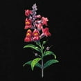 thumbnail image 2 of CafePress - Antirrhinum Or Snapdragons By Redoute Maternity Da - Maternity Dark T-Shirt, 2 of 3