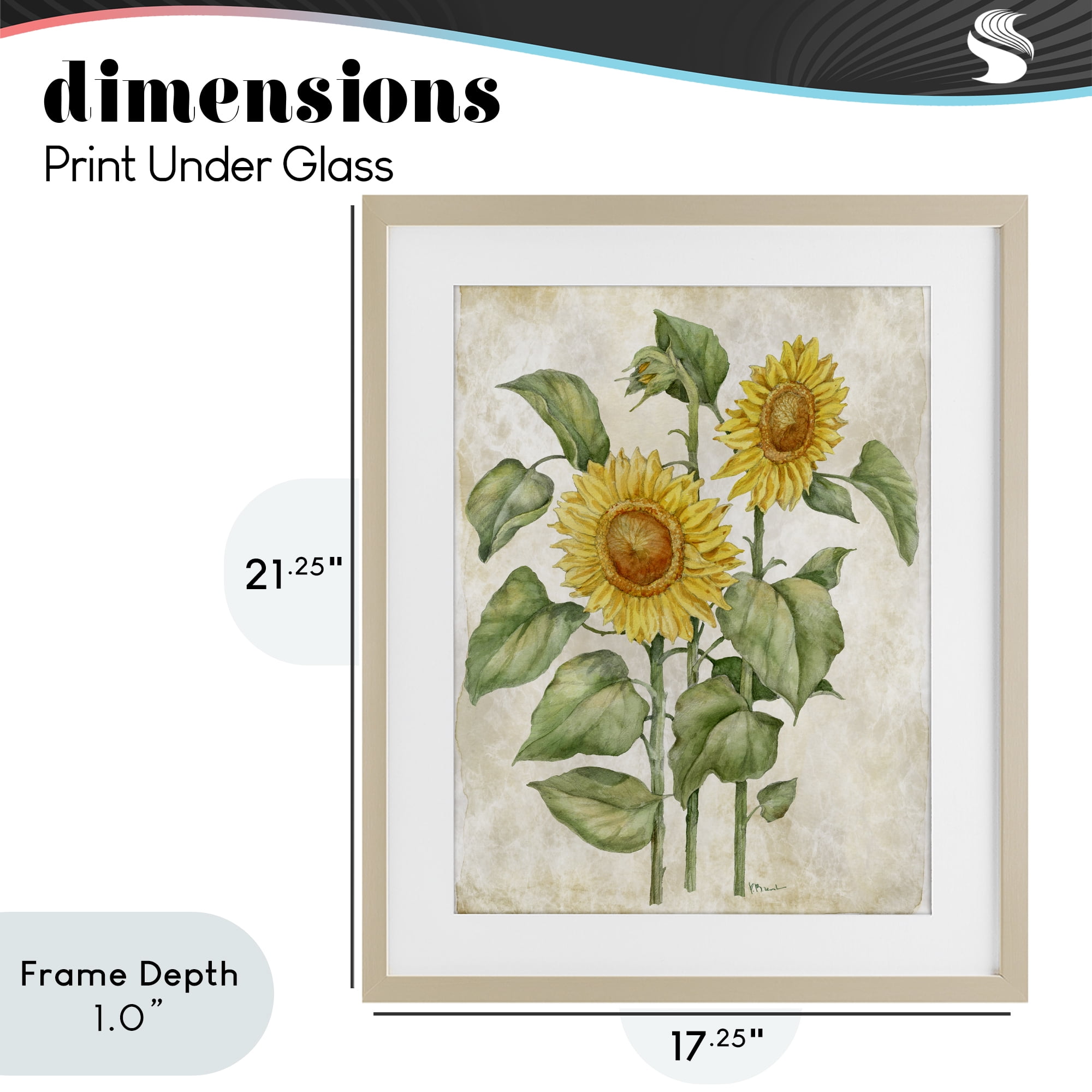 Stupell Industries Floral Journal Vintage Sunflower Birch Framed Print Under Glass, design by Paul Brent