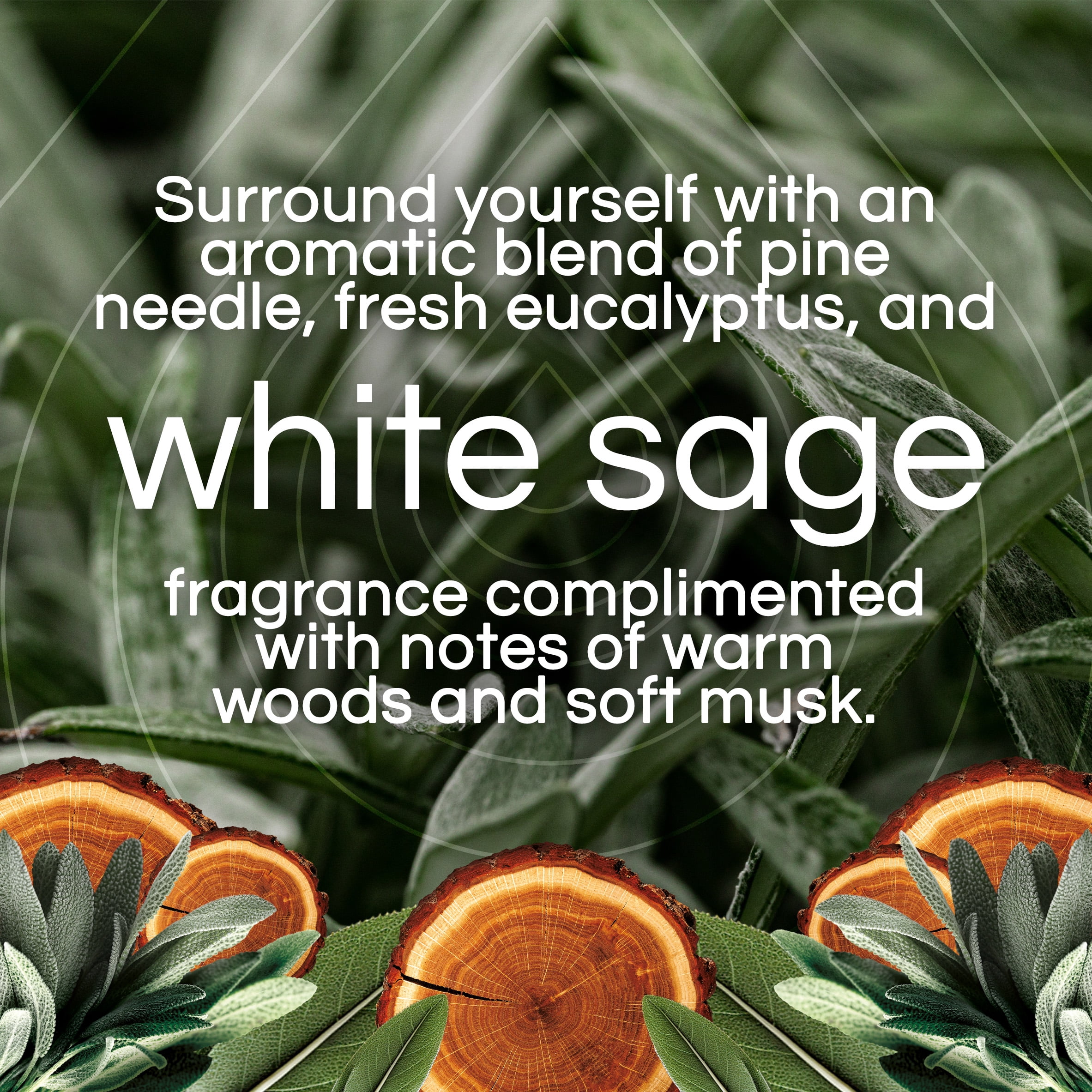 (4 pack) Air Wick Vibrant Plug-In Scented Oil Air Freshener Warmer Starter Kit, White Sage and Mahogany, 2 Piece