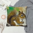 thumbnail image 4 of Decorative Throw Pillow Covers Cute Animal Squirrel Print Pillowcases Cushion Covers Home Bed Living Room Decor, 4 of 5