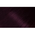 thumbnail image 2 of [ 6 PACK ] BIGEN - Permanent Powder Hair Color [ DEEP BURGUNDY #96 ] 0.21 Oz. * BEAUTY TALK LA *, 2 of 3