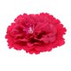 thumbnail image 4 of Mujeres Niñas Niños Te Cristal Rhinestone Peonía Flor Pinza de cabellero Pin Accesorios para el cabello Hugo Las pinzas de pelo, 4 of 6