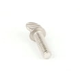 thumbnail image 4 of Vollrath Screw Thumb 1/4-20Unc 379034 - Genuine OEM Replacement Part, 4 of 4