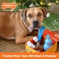thumbnail image 3 of Nylabone Strong Chew Holiday Box - Large Chew Toys & Treat Gift Box Large (4 Count), 3 of 13