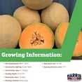 thumbnail image 2 of Harris Seeds - Sweet Melon True Love F1 Organic Seeds For Planting - 250 Seeds, 2 of 5