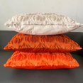 thumbnail image 4 of Fall Pillow Covers Throw Pillow Cases Halloween Thanksgiving Autumn Decorations Pumpkin Soft Plush Fabric Couch Cushion Case for Sofa Bedroom Living Room Home Decor, 16 x 16 Inch 1 Pack, 4 of 9