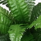 thumbnail image 2 of 2 Uds Helecho Artificial Boston Planta Arbusto Falso 21 Pulgadas para Jardín Oficina, 2 of 6