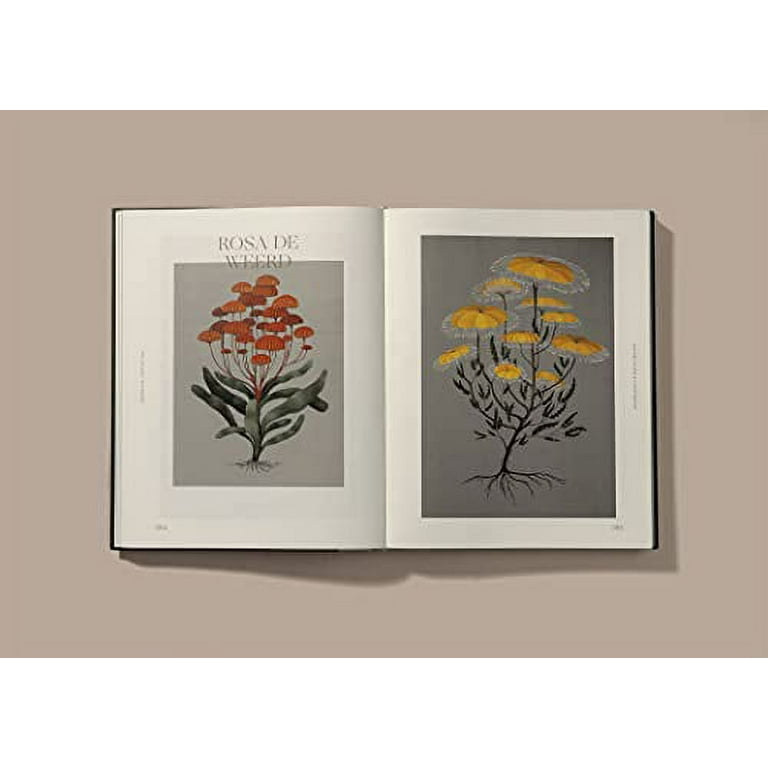 Botanical Inspiration: Nature in Art and Illustration
