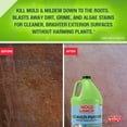 thumbnail image 4 of Mold Armor E-Z Multi-Purpose Pressure Washer Concentrate, 1 Gallon, 4 of 6