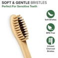 VIVAGO Biodegradable Charcoal Bamboo Toothbrushes Soft Bristles for Sensitive Teeth 10 Pack
