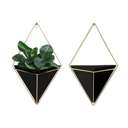 Geometric Wall Planter Set of 2, Decorative Hanging Planters with Brass Wall Decor Frame, Modern Wall Plant Holders in Black, Terrarium Planters for Succulents, Cactus Plants, Wall Plants &