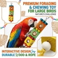 thumbnail image 3 of Multicolor Parrot Wood Building Block Toy with Pinecones for Cage Hanging Play and Grinding Exercise, Multicolor, 3 of 6