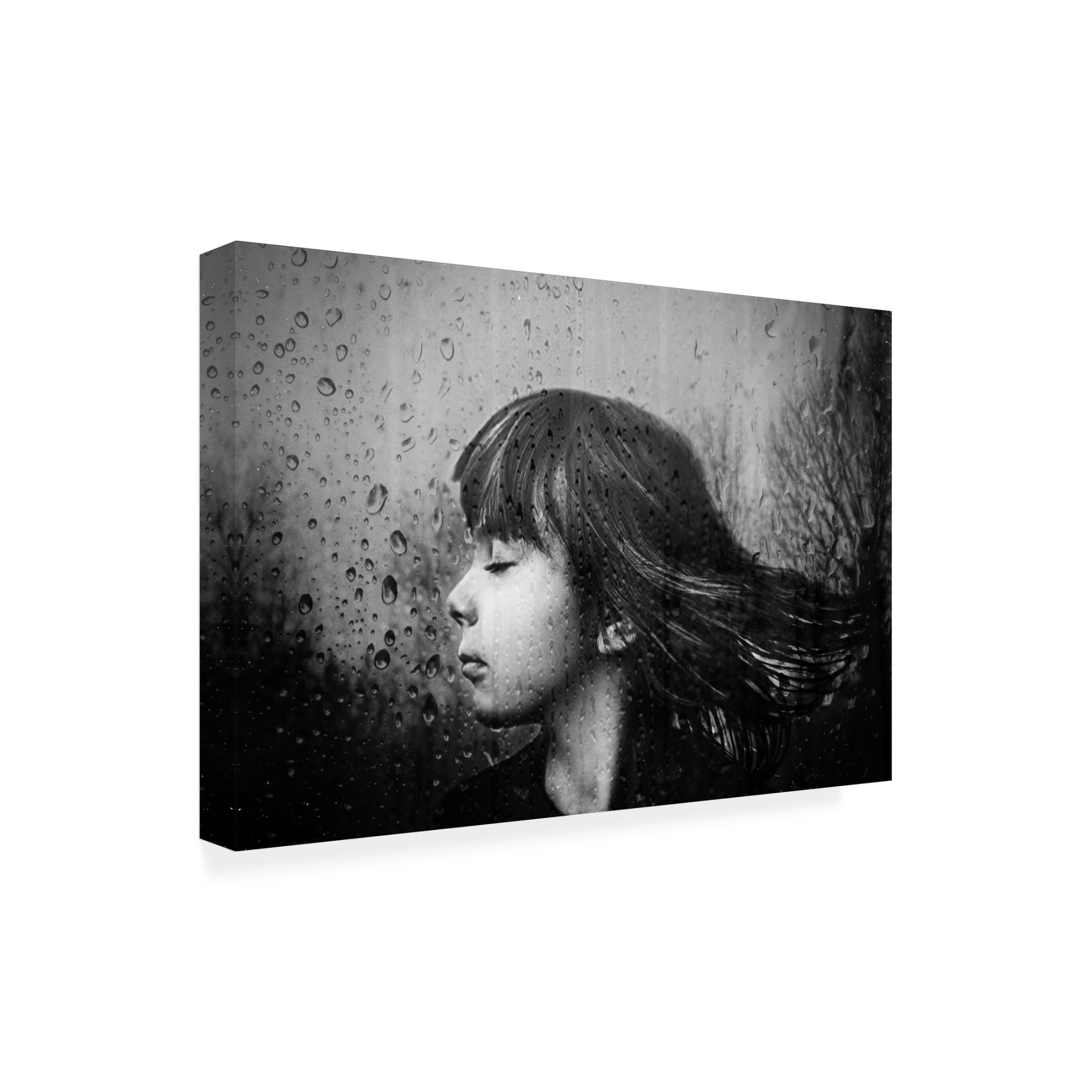 Canvas Wall Art - Desislava Ignatova 'Wind' Wall Art for Living Room, Bedroom, or Office D?cor by Trademark Fine Art - 24 x 16 Inches