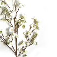 thumbnail image 6 of 4pcs Artificial Blossom Branches, 97cm Faux Silk Cherry Blossoms Stems Fake Flowers Bouquet Arrangements for Home Wedding Office Party (White), 6 of 7