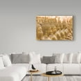 thumbnail image 3 of Trademark Fine Art 'Buddha in the Setting Sun' Canvas Art by Philippe Sainte-Laudy, 3 of 3