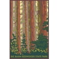 thumbnail image 3 of Big Basin Redwoods Park, Nevada, Forest View (100% Cotton Tea Towel, Decorative Hand Towel, Kitchen and Home), 3 of 3