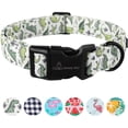 thumbnail image 1 of Collar para perros Ring Pet Dinosaur para perros pequeños, medianos y grandes, 1 of 5