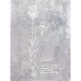 thumbnail image 2 of Fagalde, Jarman 12x14 Black Ornate Wood Framed with Double Matting Museum Art Print Titled - Essential Botanicals II, 2 of 4